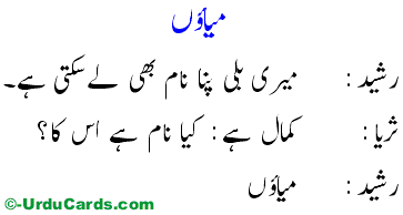 Miyaon میاؤں - Funny Urdu Joke & Urdu Latifay | Joke No. 273