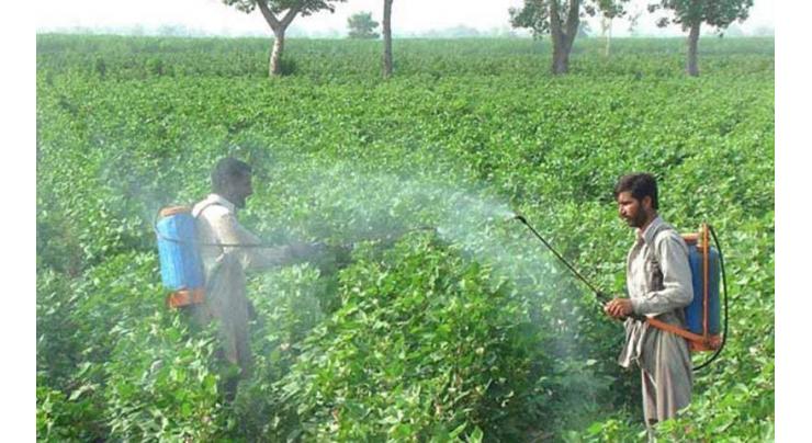Experts issue spray guidelines for cotton farmers