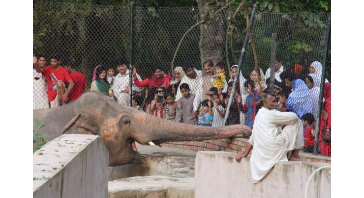 Punjab, Sindh Govts to be approached for surplus animals for Peshawar Zoo: Secretary Environment