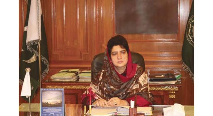 Gems, Jewelry business generating jobs for youth: Raheela