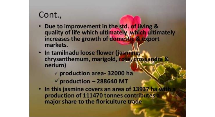 'Good scope of joint ventures in floriculture'