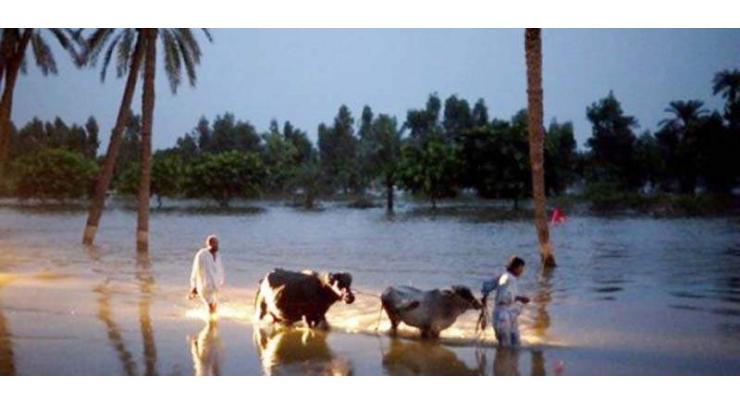 Flood situation in Mirpur under full control: DC
