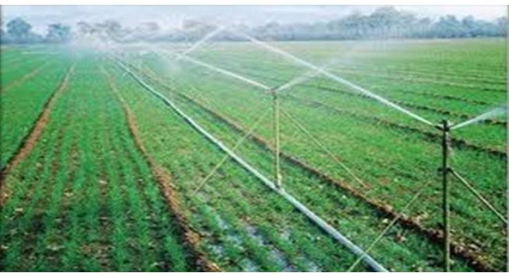 Govt working to minimise wastage of irrigation water