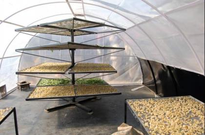 Farmers capacitated to use solar technology for drying of dates