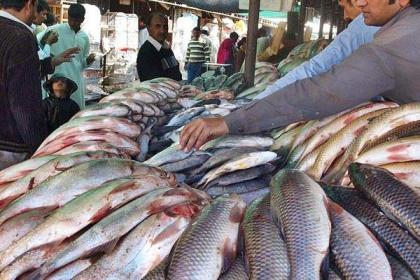 Chinese Co. shows interest to invest in fisheries industry in Sindh