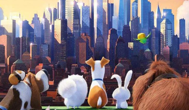 The Secret Life of pets covered glorious film