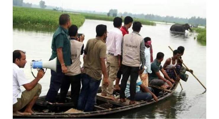 Bangladesh, India mount rescue for flood-hit elephant