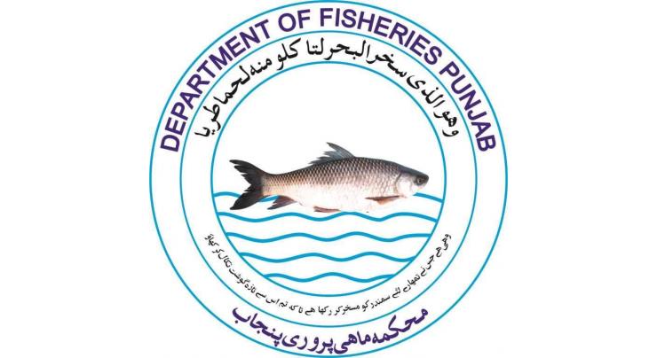 Efforts to promote artificial fish breeding yielding results