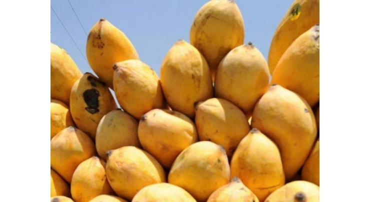 Dr. Hameedullah takes over as new head of Mango Research Institute