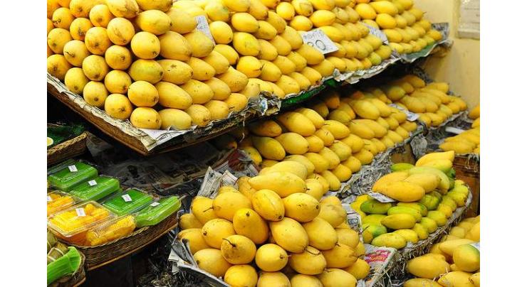 Pakistani Mango Festival attracts crowds in Morocco