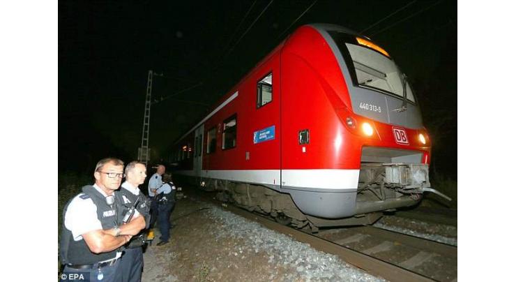 Man attacks Swiss train passengers with fire, knife, injures 6: police