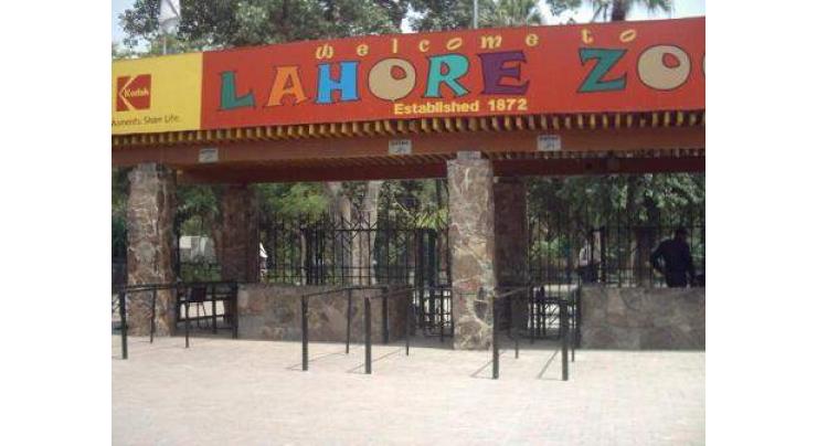 More than 37,000 people visited Lahore Zoo on I-Day