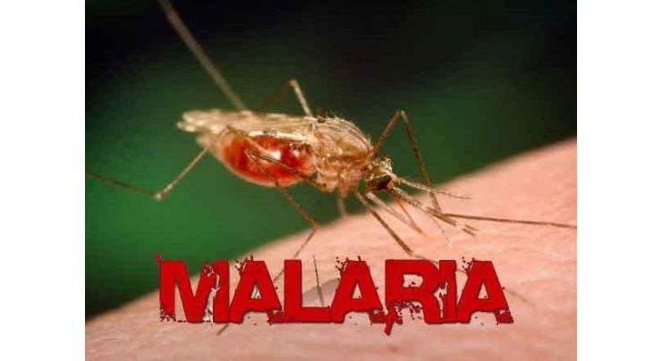 Health experts for adopting preventive measures to reduce malaria burden
