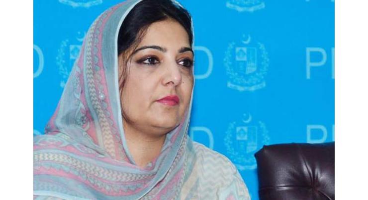 Govt to facilitate establishment of e-commerce gateways:Anusha Rehman