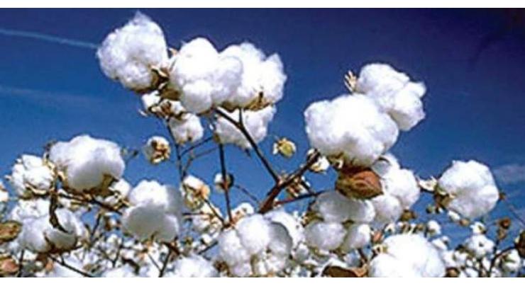 Spot rates of cotton (Crop 2016-2017)