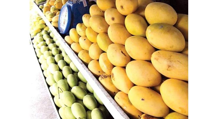 USAID helping Pakistani mango farmers access world markets