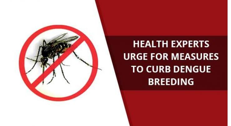 Efforts underway to eliminate dengue