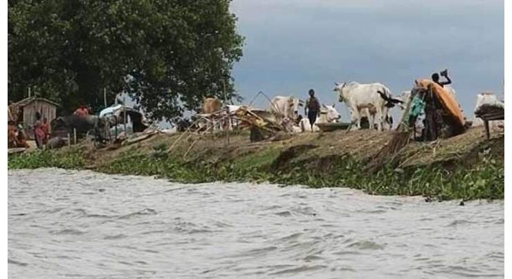 'No flood threat in river Chenab'