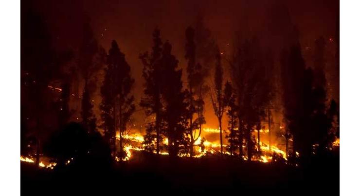 Over 1,000 flee wildfire on Spain's Costa Blanca 
