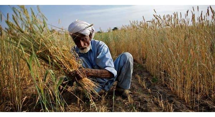 Rs 23 bn interest free loans to be given to farmers: MPA 