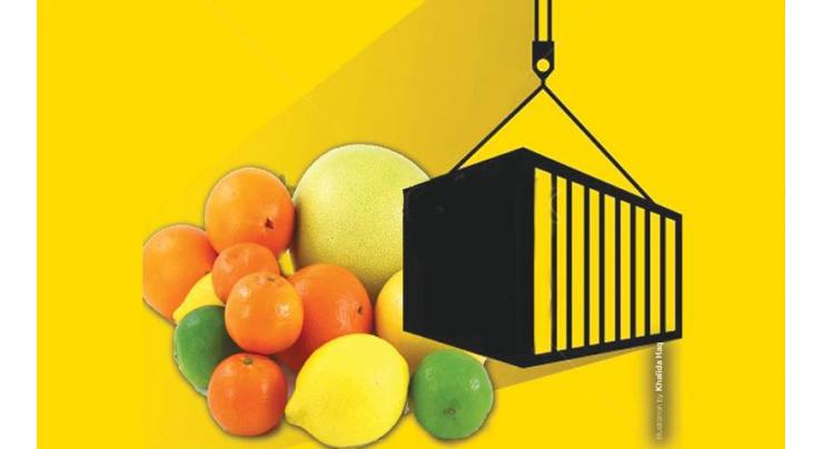 Fruits export up by 56.99%, vegetable down by 43.11% in two months 
