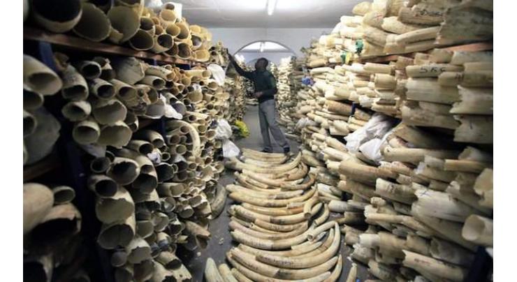 Namibia, Zimbabwe lose vote to allow ivory trade: CITES 