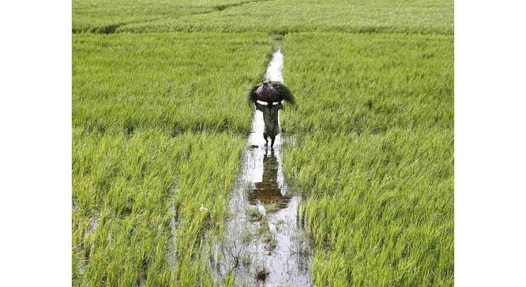 150 schemes of irrigation development to be completed in 2016-17 