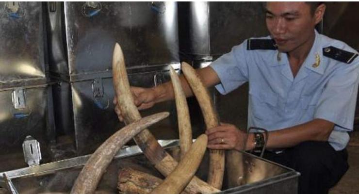 Vietnam seizes illegal ivory shipment 