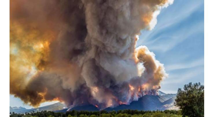 Climate change doubles US forest-fire burn areas: study 