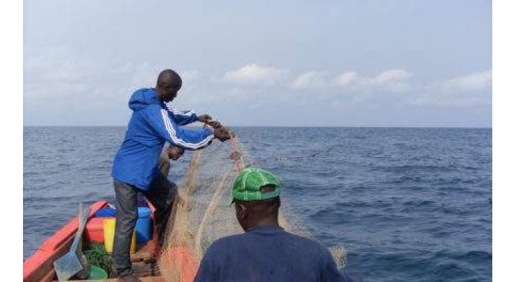 Guinea struggles to reel in foreign boats' illegal fishing 
