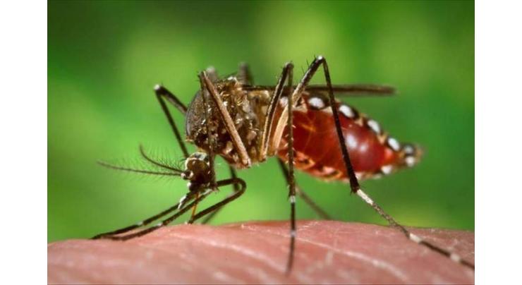 Joint research on vector-borne diseases urged 