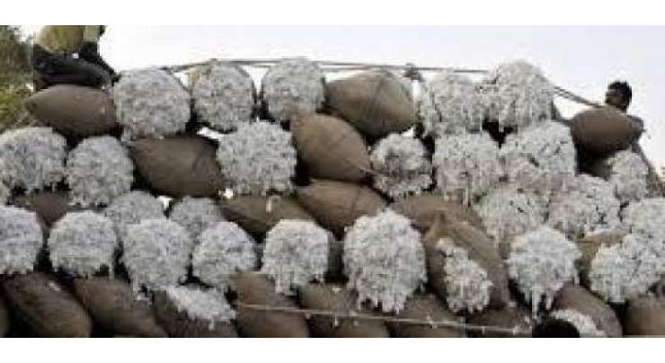 PCGA urges govt to ensure supply of registered cotton seed 