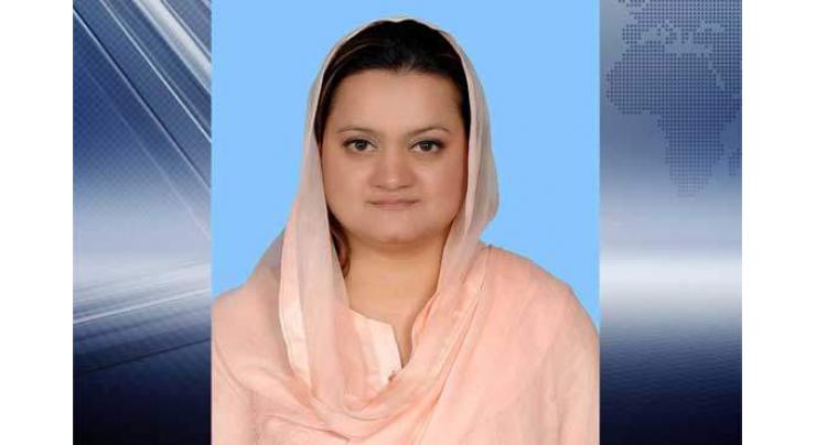 Marriyum asks Imran to wait for SC verdict on Panama Papers 