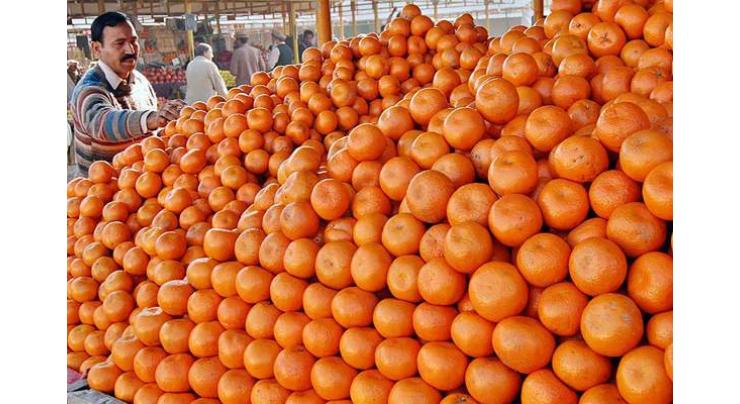 Seedless Kinnow can increase exports: citrus experts 