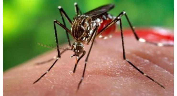Dengue cases showing downward trend 