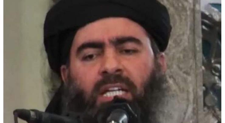 IS leader Baghdadi losing control of his troops: Pentagon 