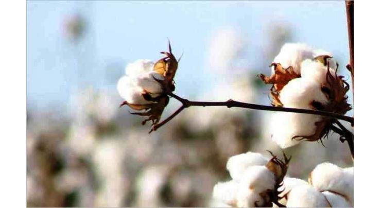 Five-day International Cotton Advisory Committee meeting concluded 