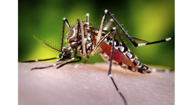 Health precautions urged against Malaria and Dengue fever 