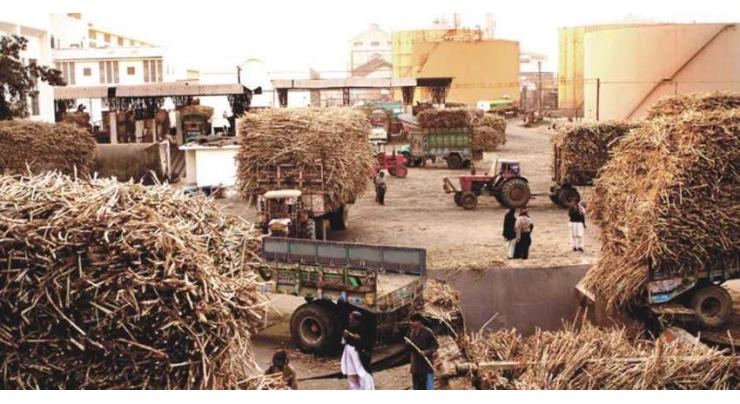 Three sugar mills of Shaheed Benazirabad ignite boilers for crushing 