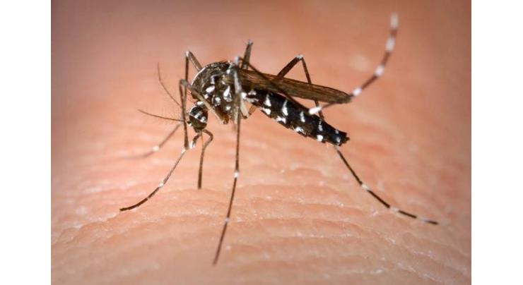 Dengue virus situation in Tharparkar is under control: Nawab Taimor Talpur 