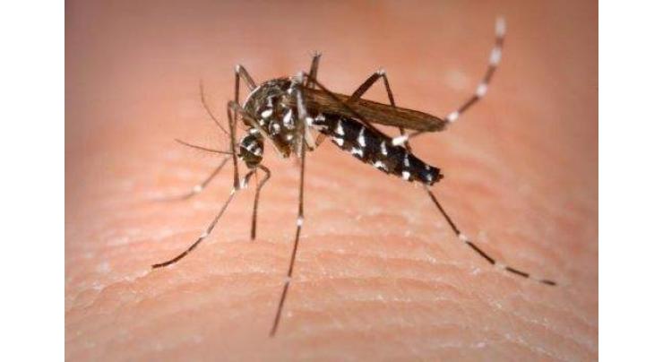 Dengue patients decrease in city 