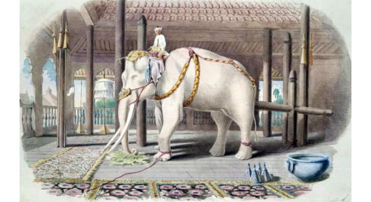 White elephants utilized to mourn passing of Thai king 