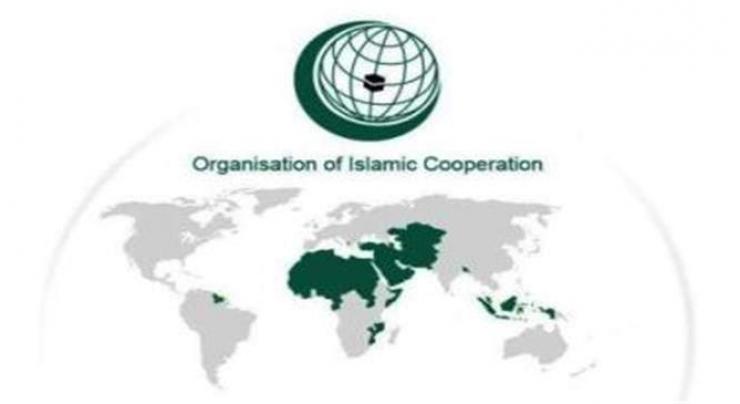 OIC condemns attacks on security forces in Mali 