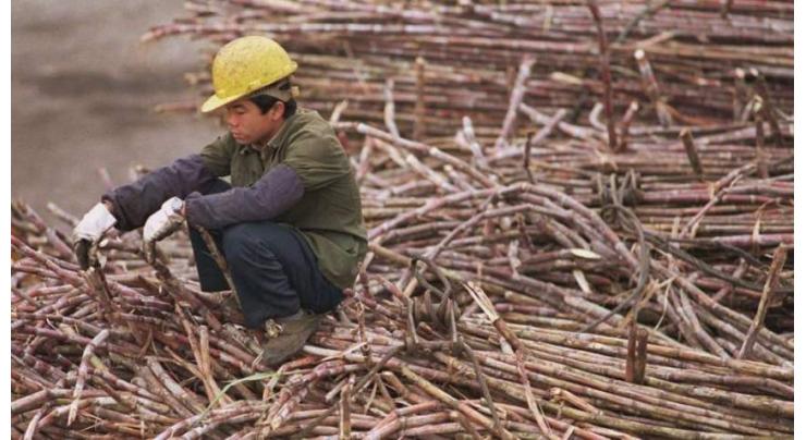 Sugar cane cess committee meeting on Nov 11 