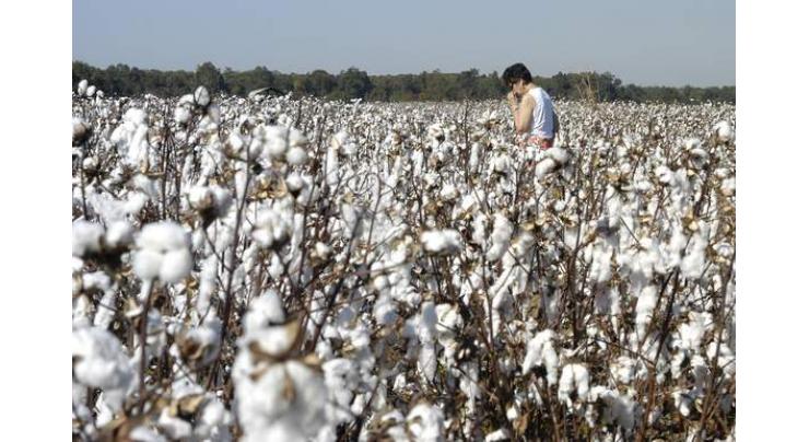 Tele-Cotton SMS service for cotton growers inaugurated 