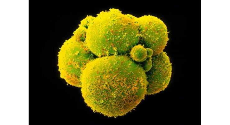 Chinese scientists genetically modify human cells to cure cancer 