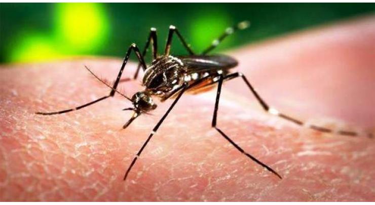 Zika no longer a world public health emergency: WHO 