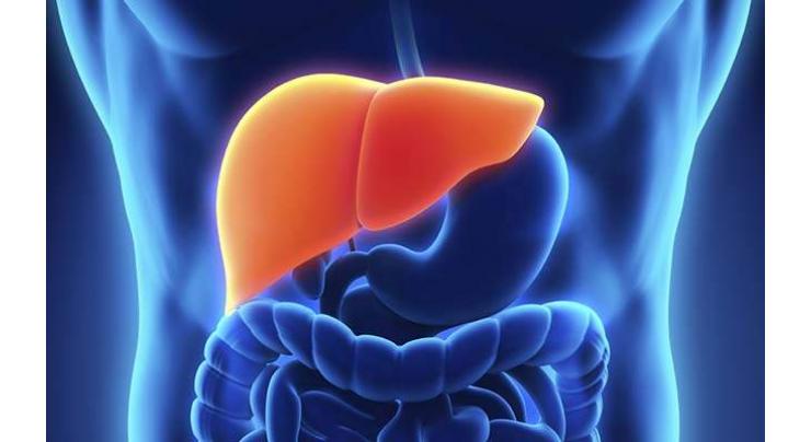 Liver recovers faster on low-sugar diets 