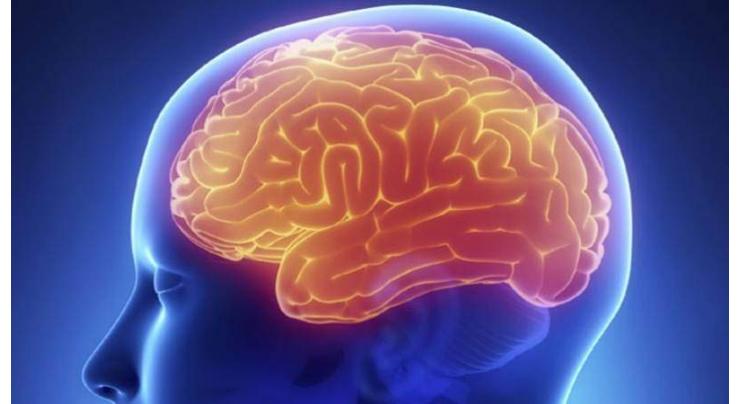 Artificial stimulation can help fight brain disorders 