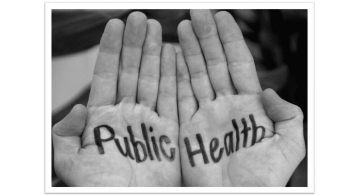 Turkish experts complete assessment of public health model 